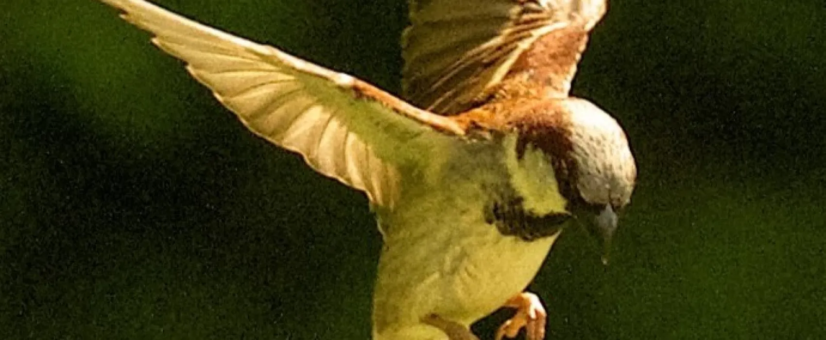 Waterrow Touring Park