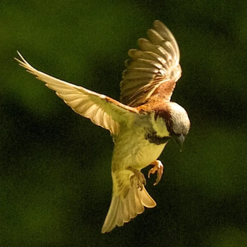 Waterrow Touring Park