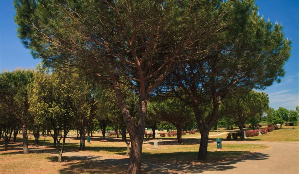 CampingIN Stella Maris Umag