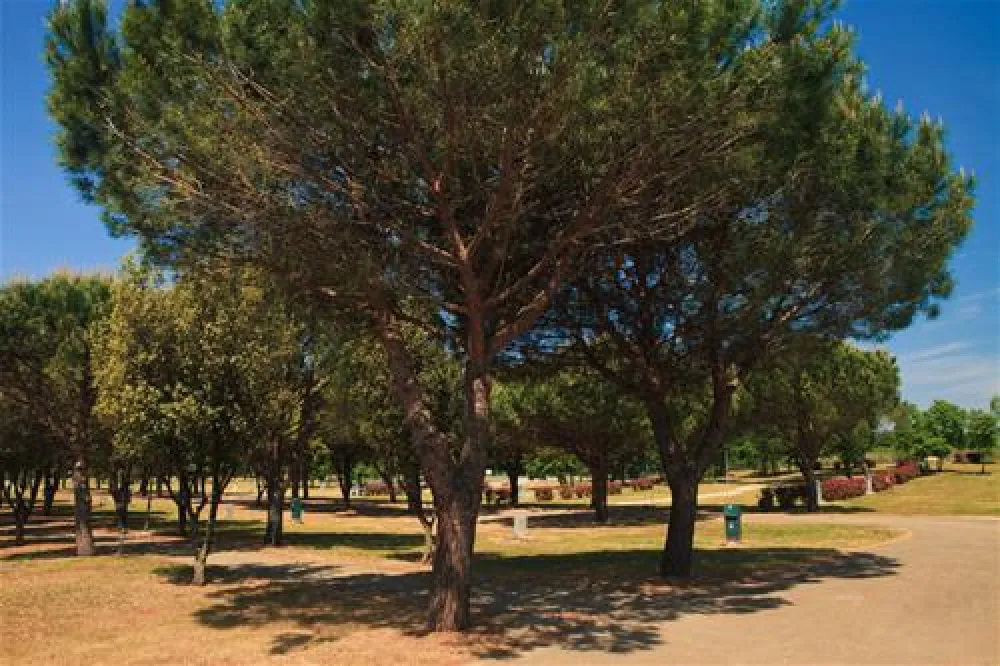 CampingIN Stella Maris Umag