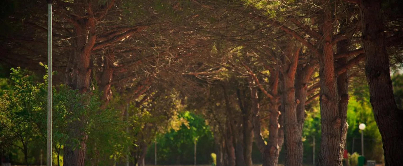 CampingIN Stella Maris Umag