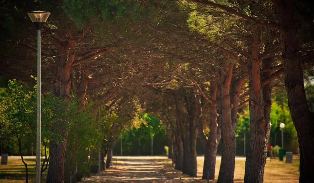 CampingIN Stella Maris Umag