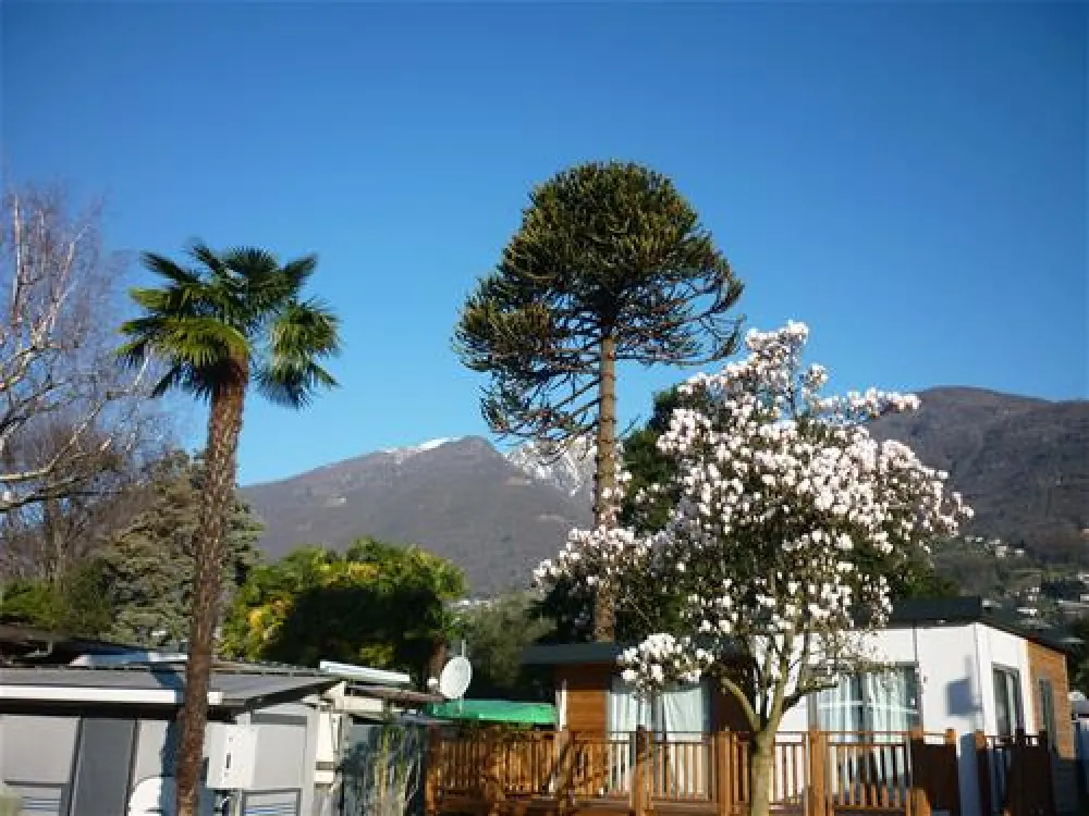 Caravan Camping Miralago SA