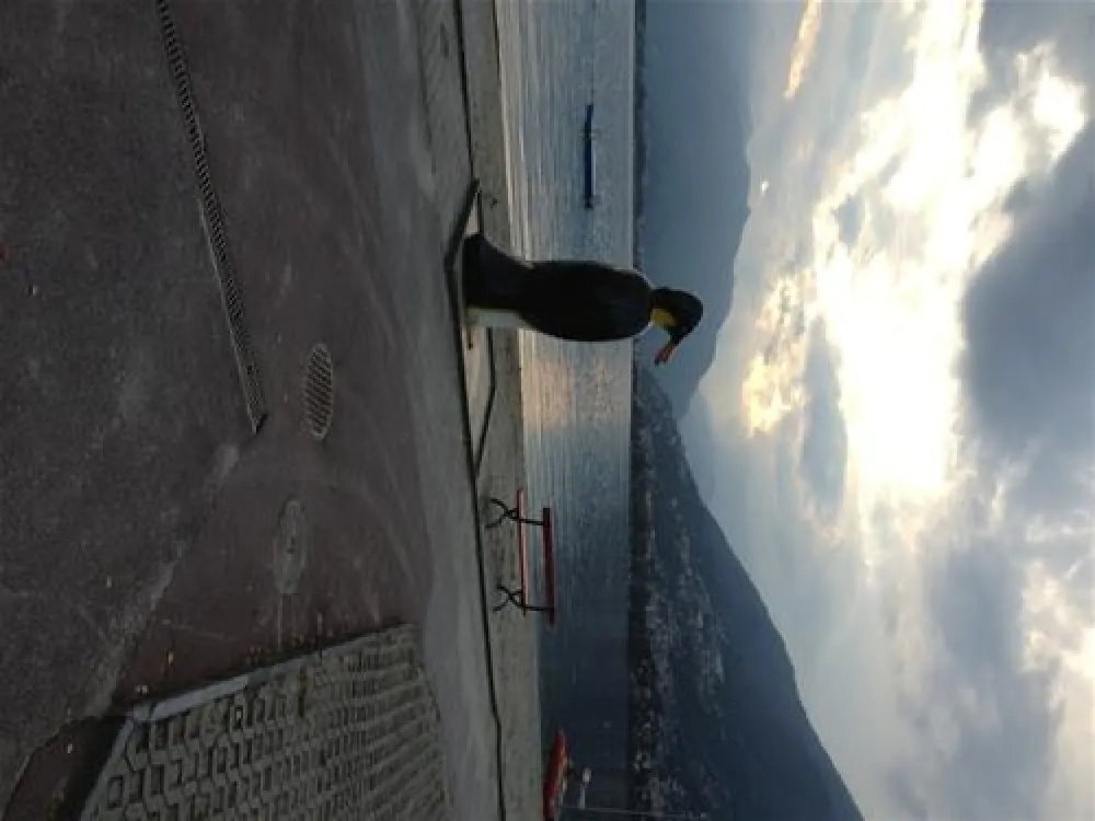 Caravan Camping Miralago SA