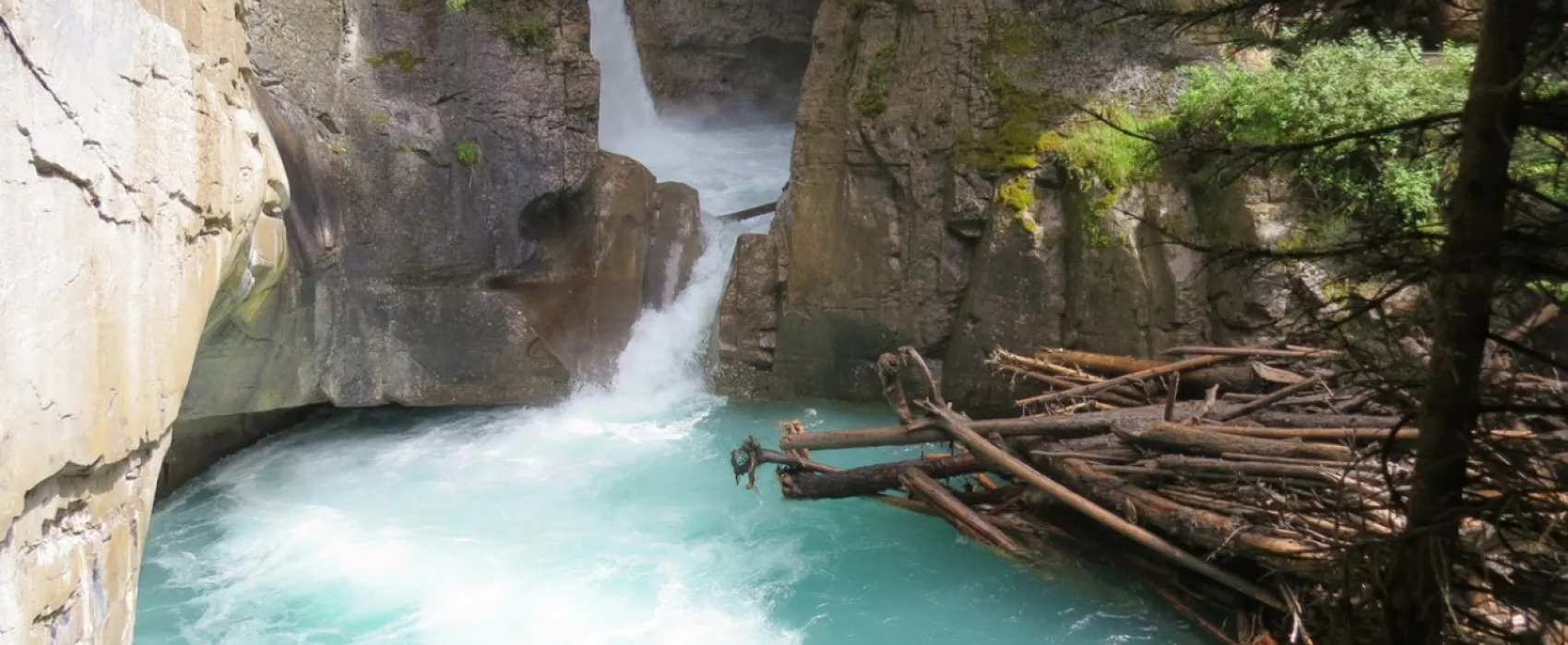 Camping Forêt des Mélèzes