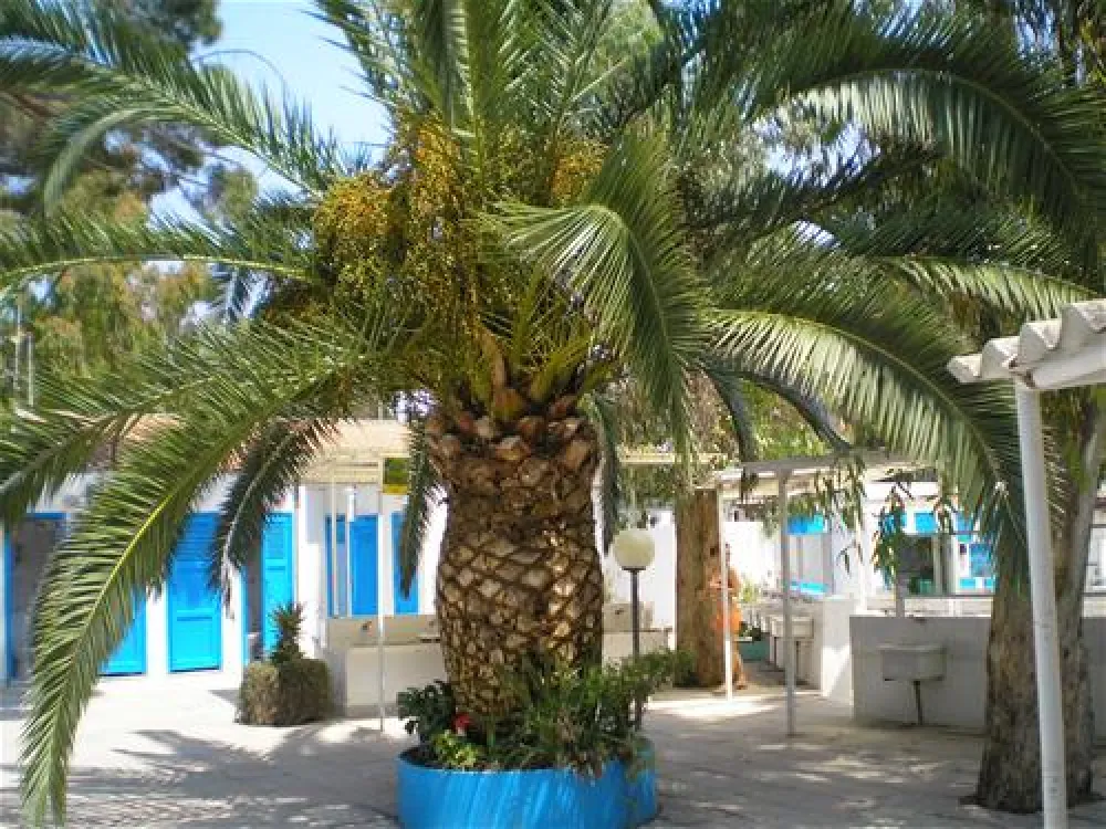 Campeggio La Mariposa