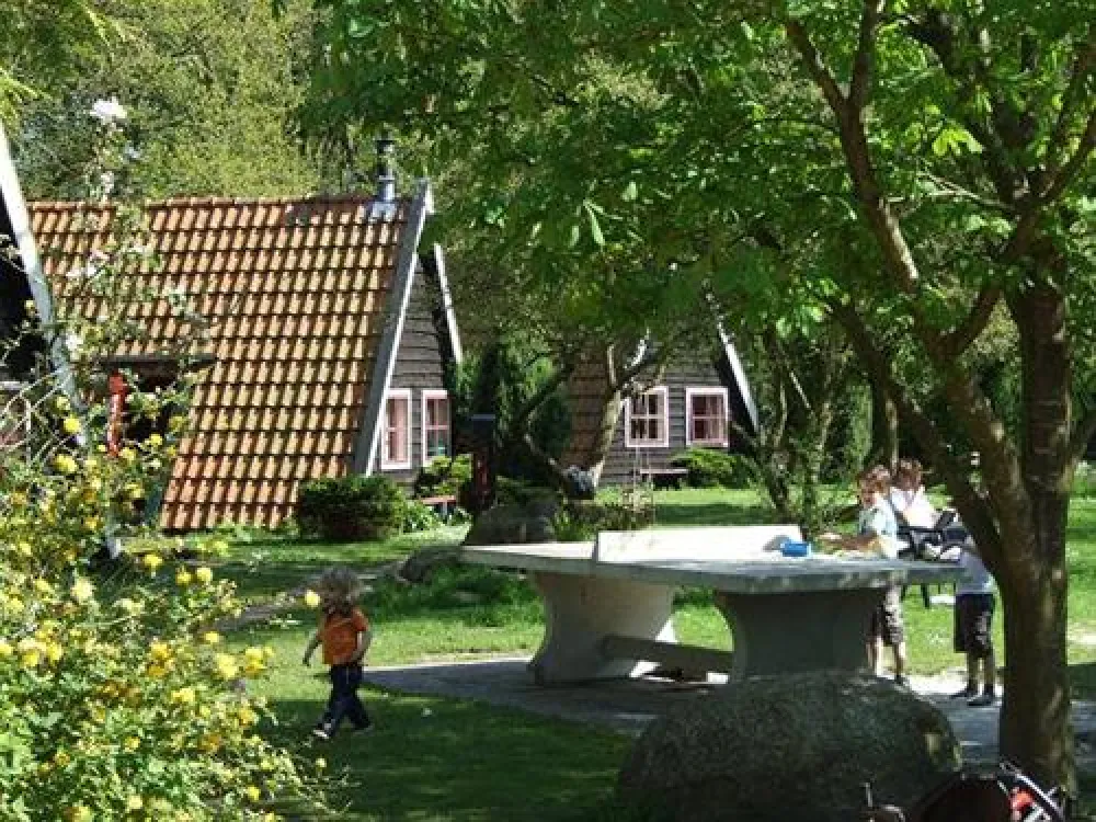 Camping Te hooi en te gras