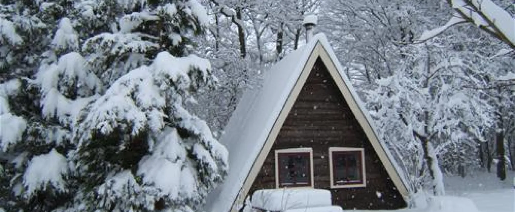 Camping Te hooi en te gras