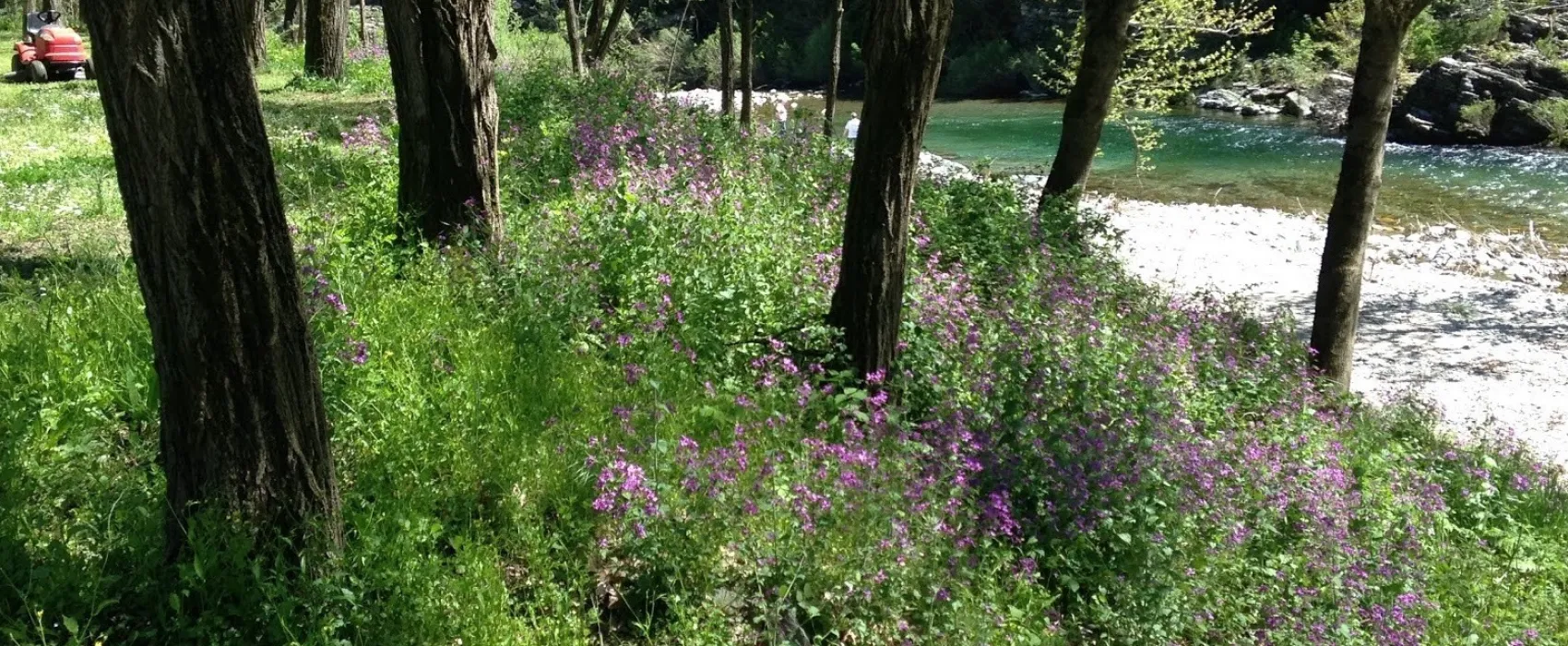 Camping Le Pont de La Selle  