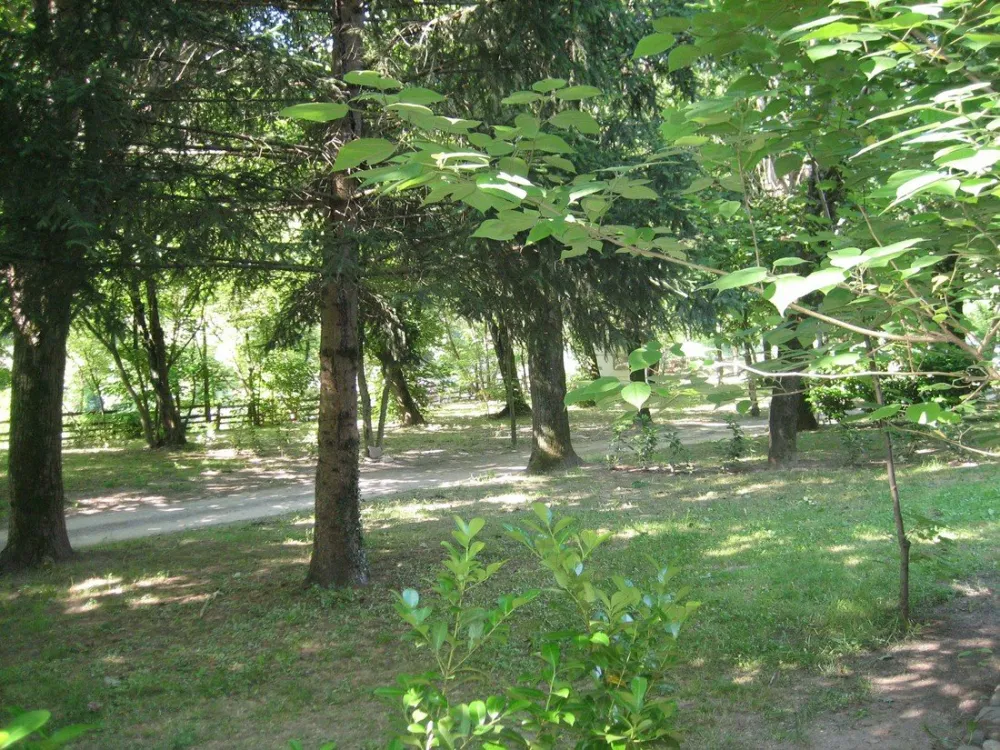 Camping Le Pont de La Selle  