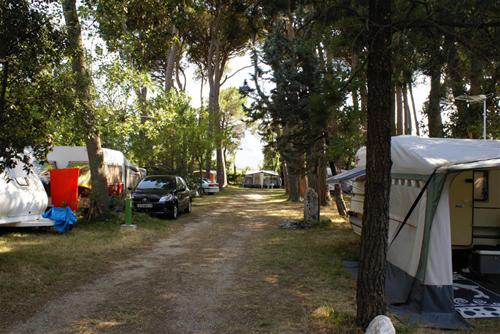 Camping La Pinede - Photo 2