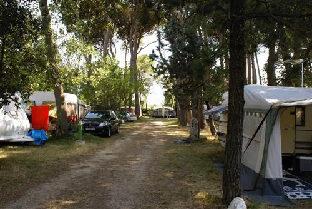 Camping La Pinede