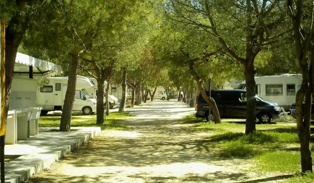 Campeggio Lido Salpi