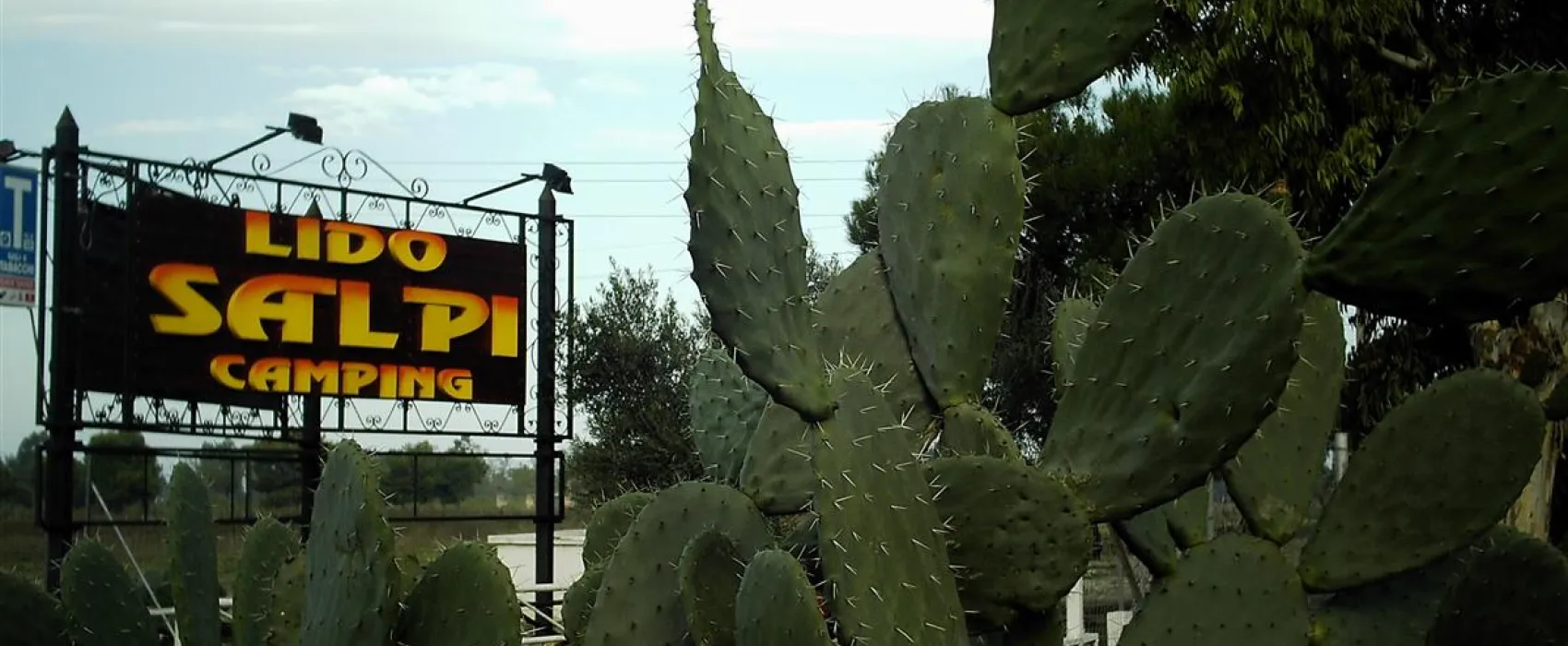 Campeggio Lido Salpi