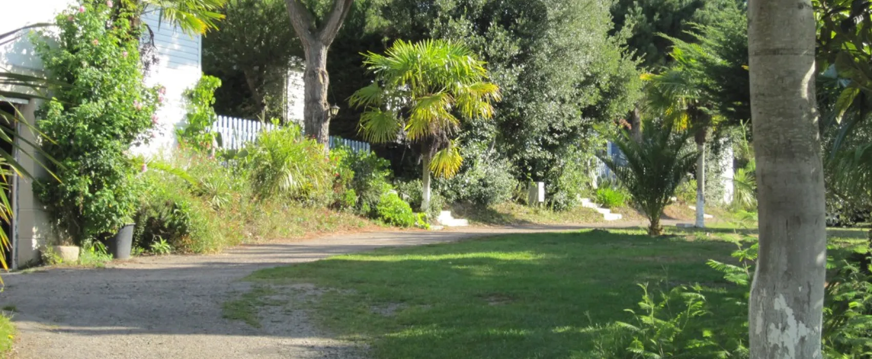 Camping des Palmiers  