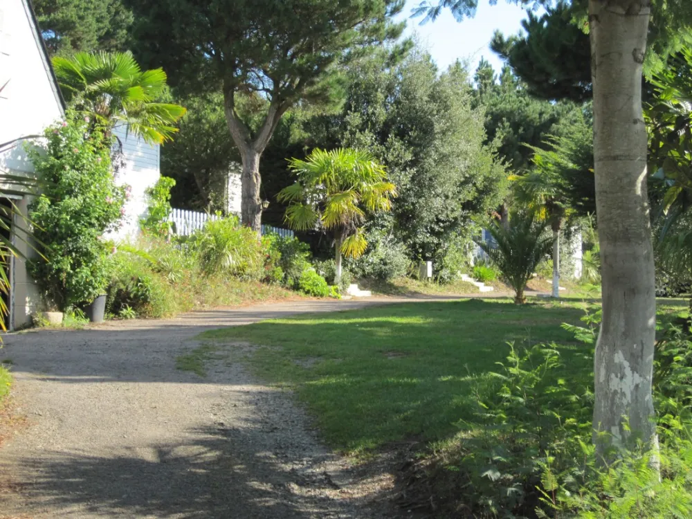 Camping des Palmiers  