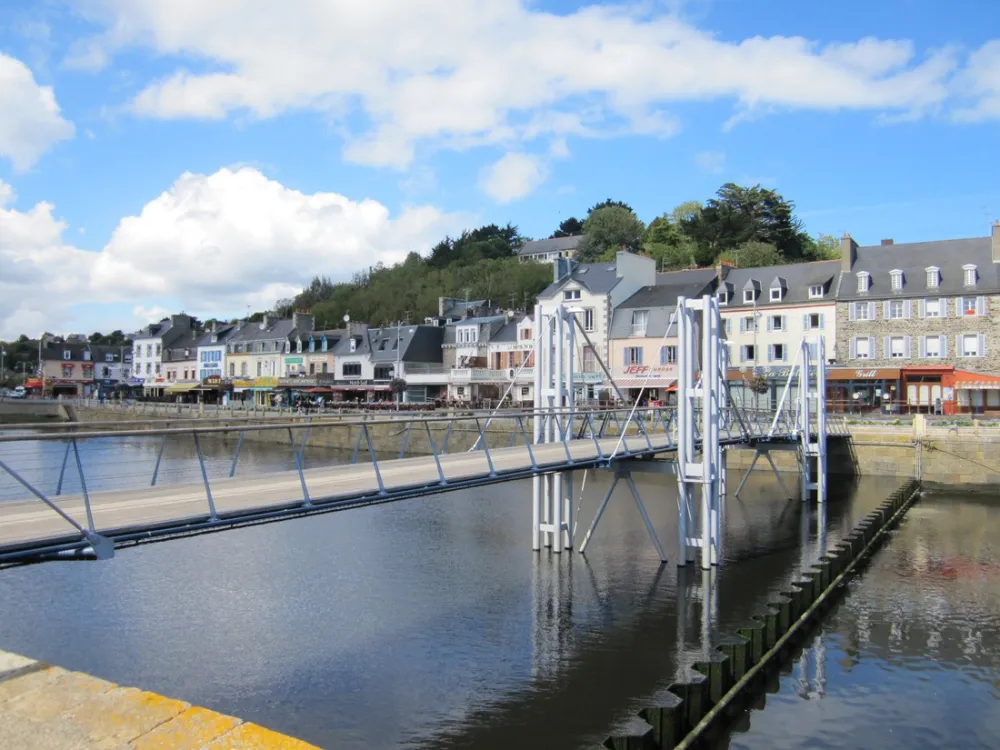 Camping des Palmiers  