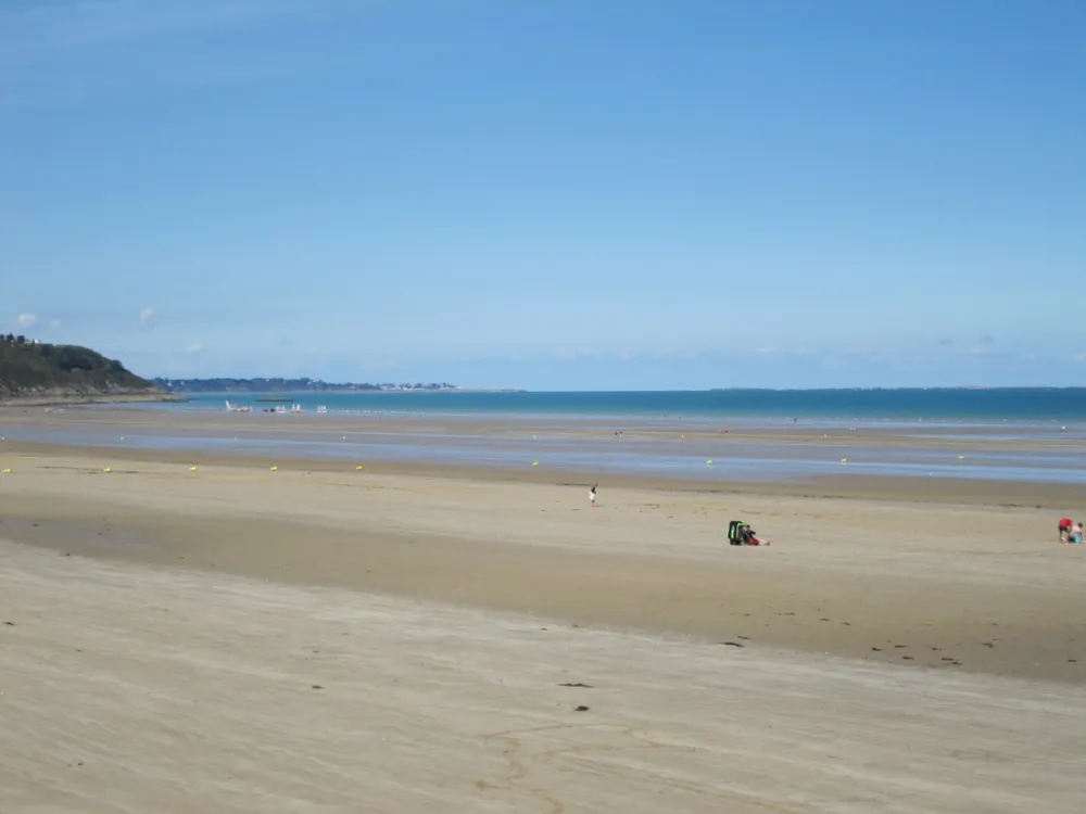 Camping des Palmiers  