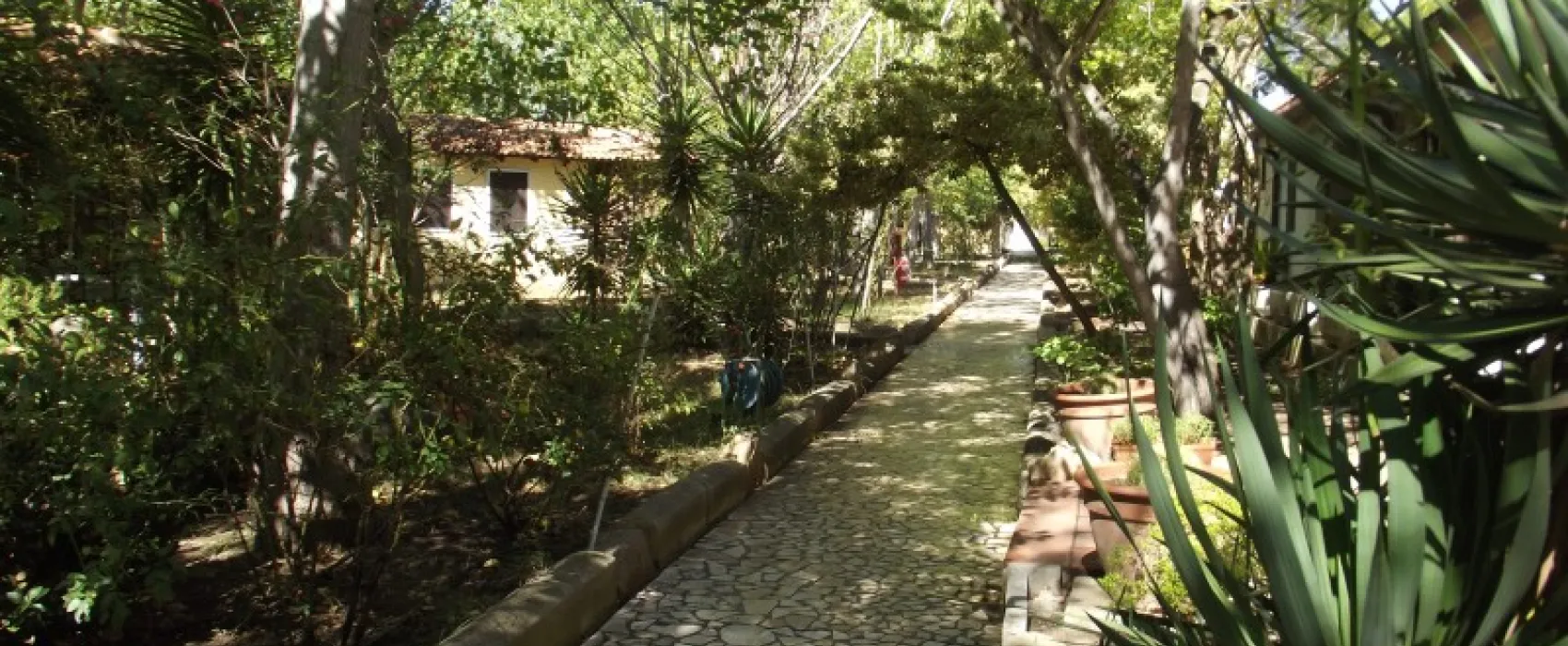 Campeggio-Villaggio Sos Flores