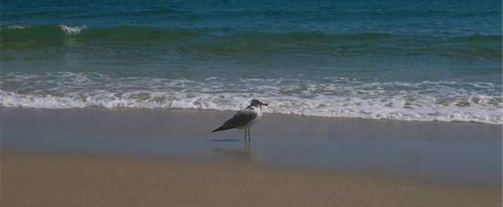 Campingplatz Eurocamping Zedano *****