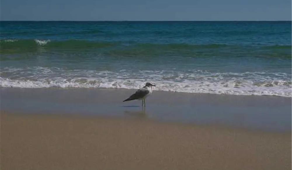 Campingplatz Eurocamping Zedano *****