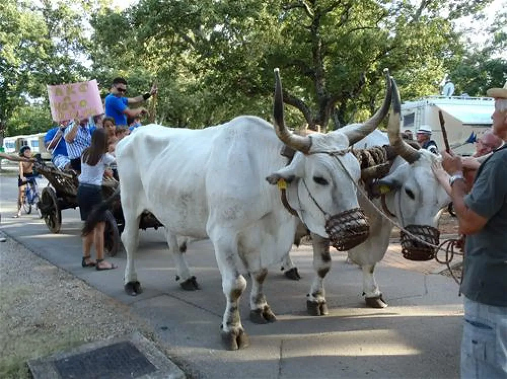 Naturist Centar Ulika