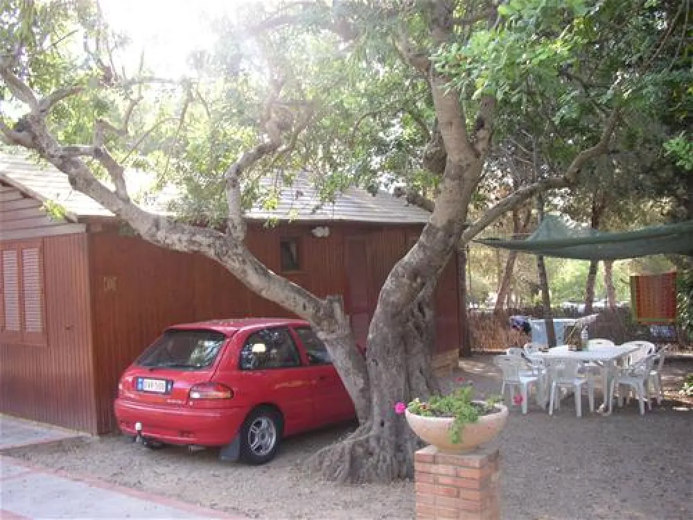 Camping Vilanova Park