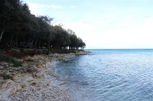Camping San Polo - Photo 3