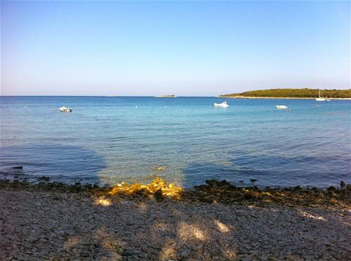 Camping San Polo photo 3
