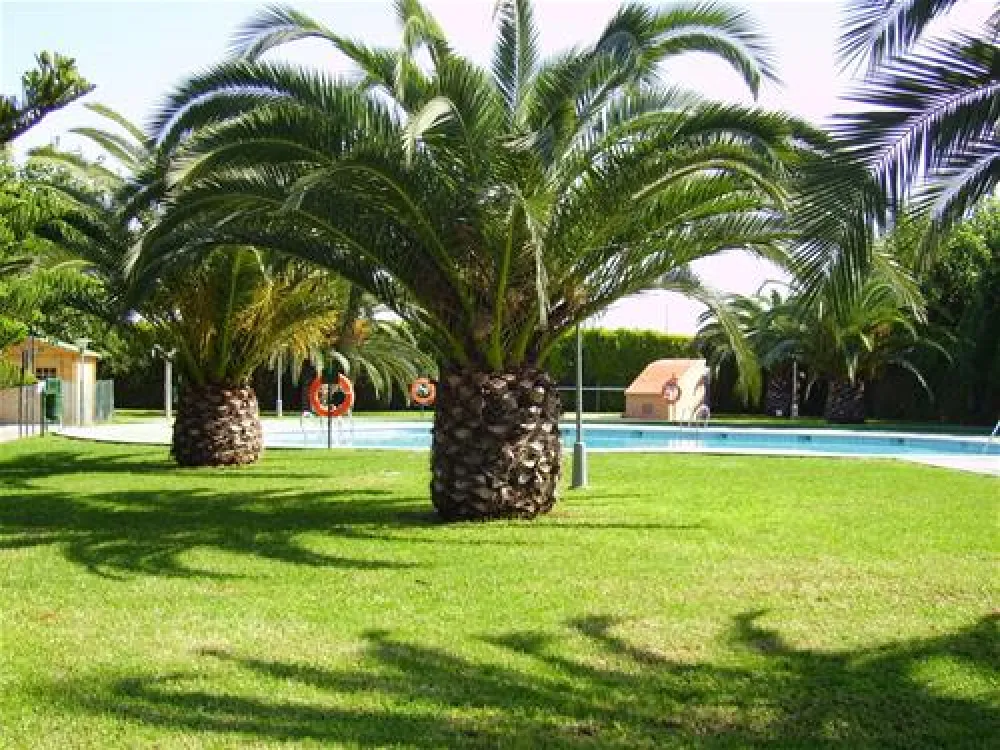 Camping Trillas-platja Tamarit