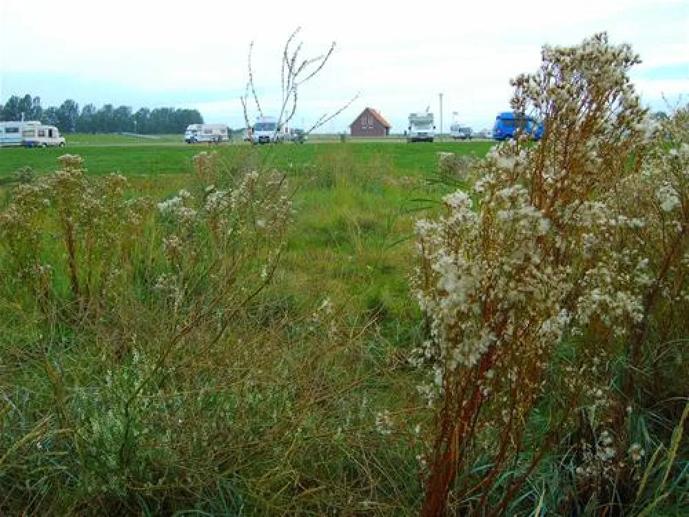 Campingplatz Hooksiel