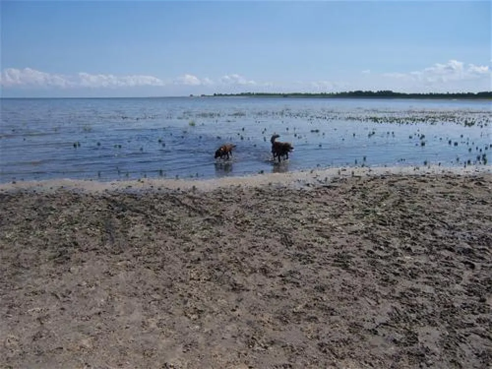 Campingplatz Hooksiel