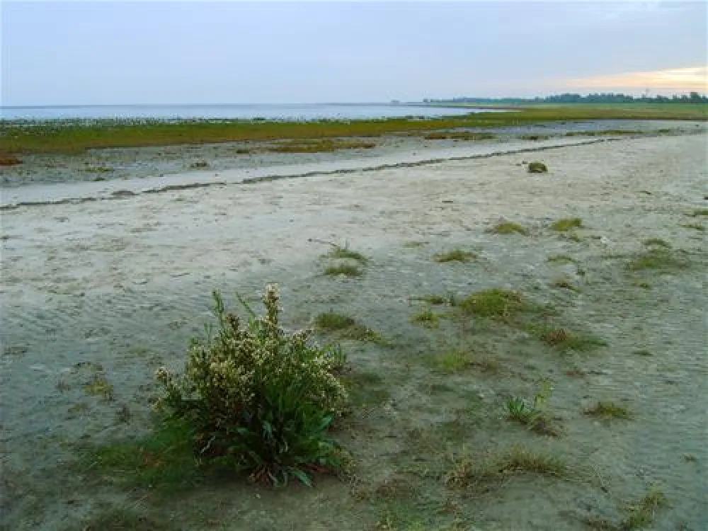 Campingplatz Hooksiel