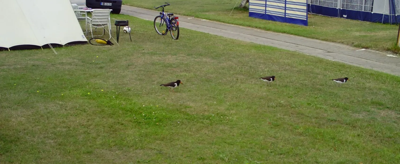 Campingplatz Hooksiel