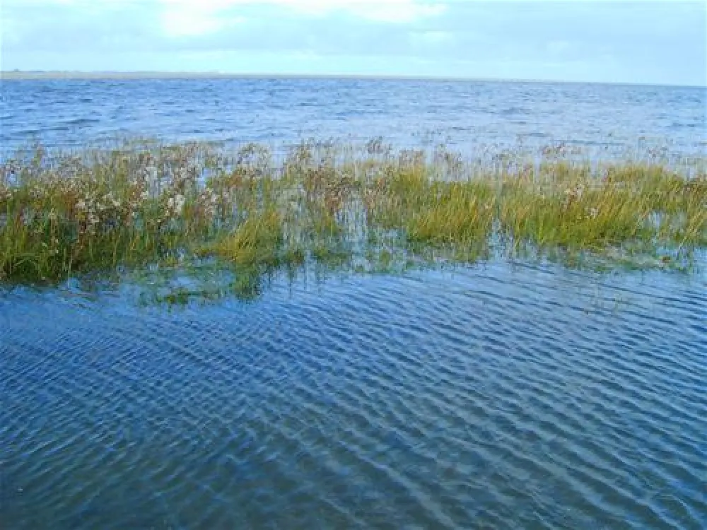 Campingplatz Hooksiel