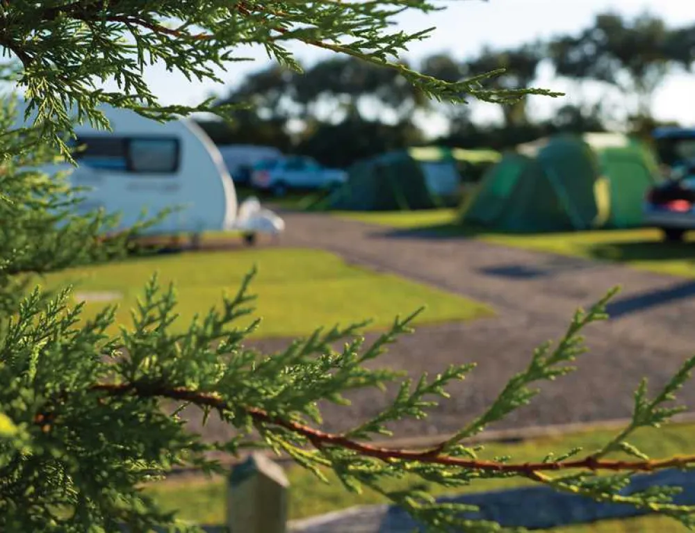 Warner Farm Touring Park