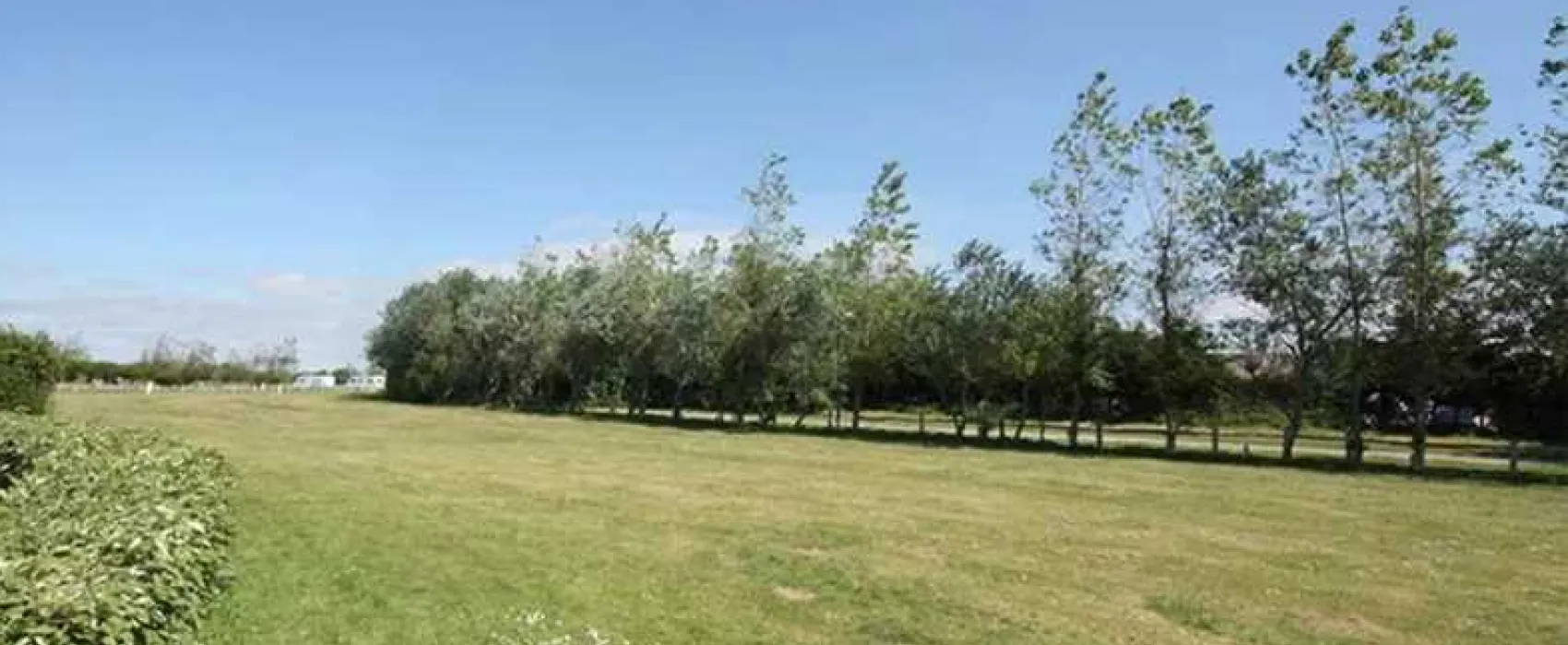 Warner Farm Touring Park