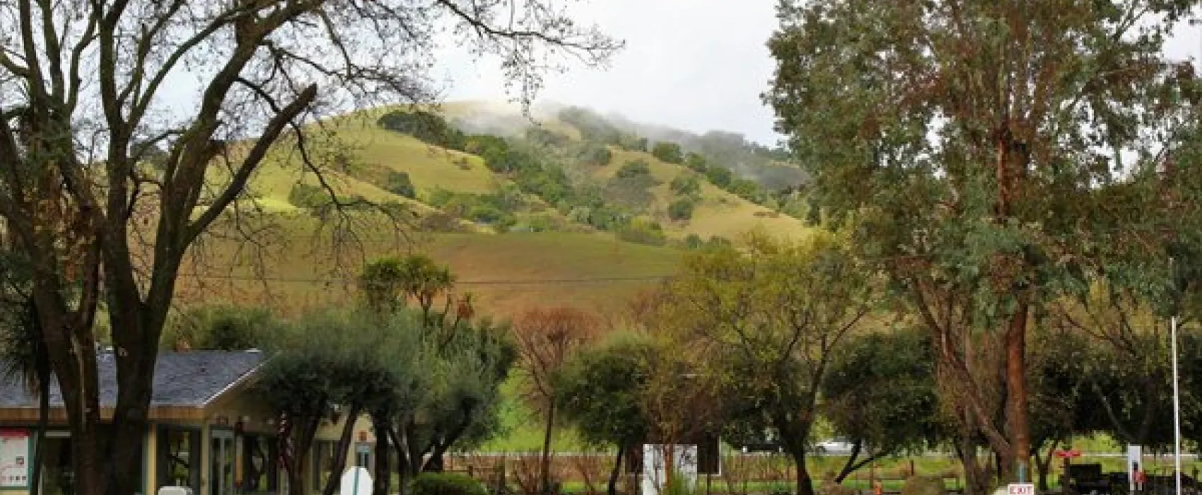 Casa de Fruta Orchard Resort