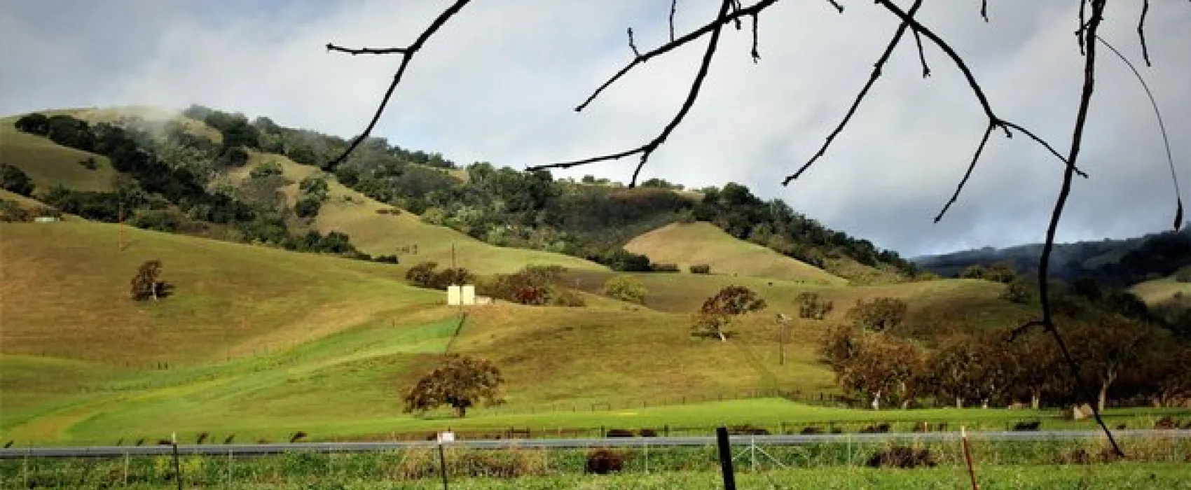 Casa de Fruta Orchard Resort