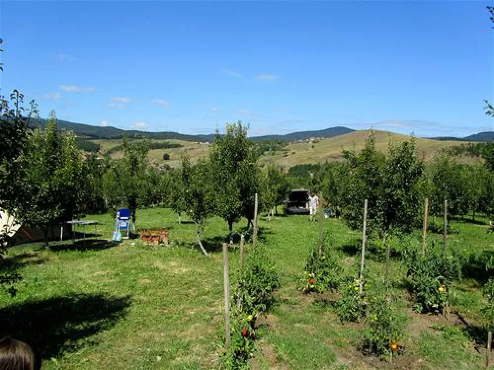 Camping Viljamovka