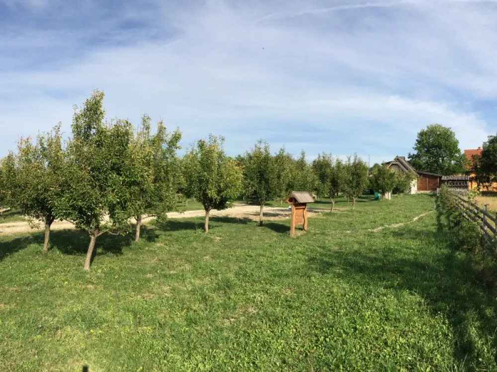 Camping Viljamovka