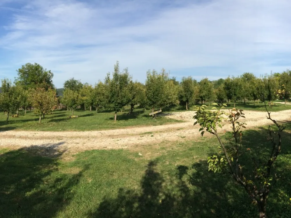 Camping Viljamovka