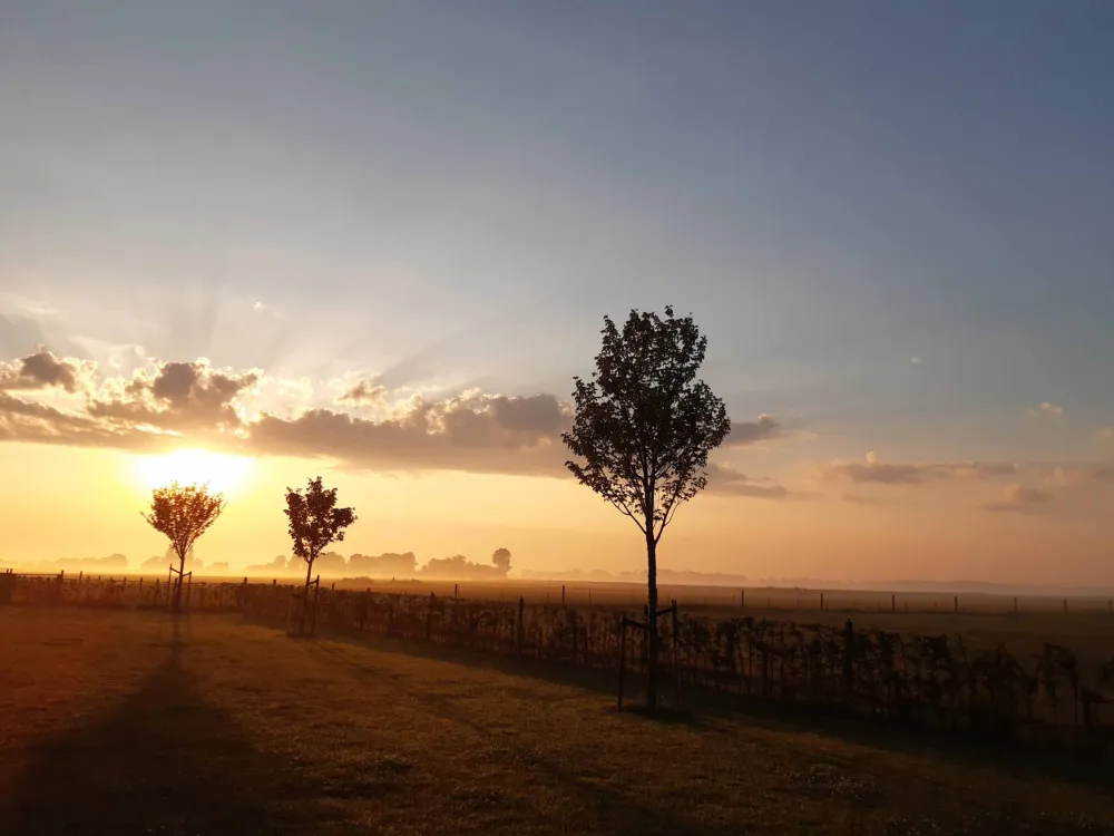 Minicamping de Nesse