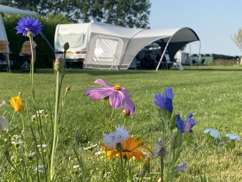 Minicamping de Nesse