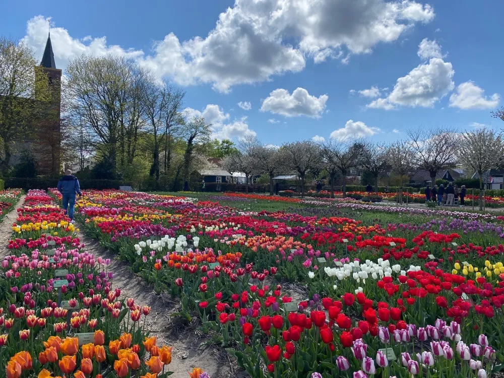 Minicamping de Nesse