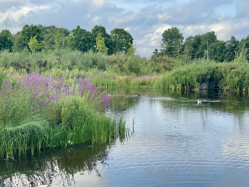 Minicamping de Nesse