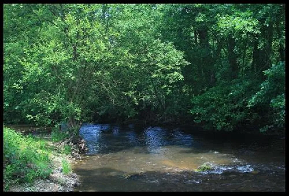 Camping de la Rouvre
