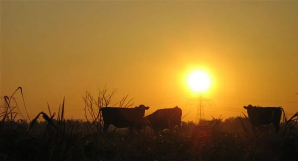 Rekreatiepark De Kooi