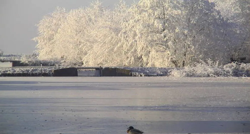 Rekreatiepark De Kooi