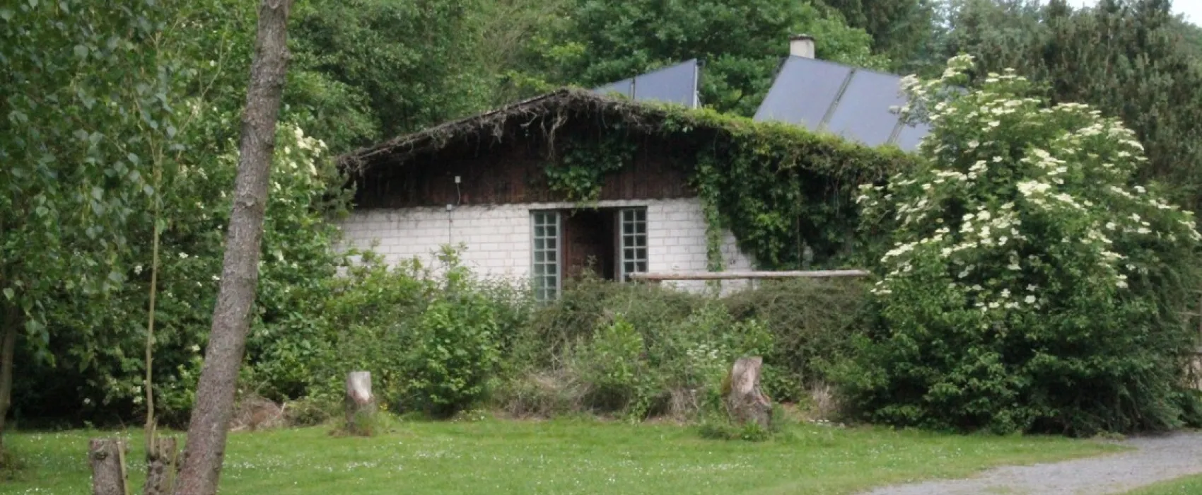 Camping zur Weissenthalsmühle